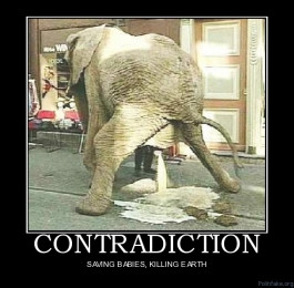 lance wallnauliving in the contradiction