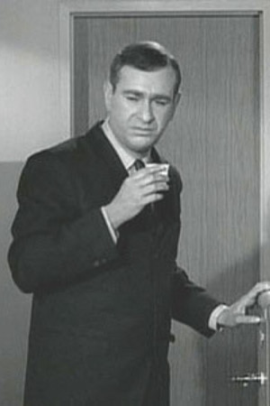 Shelley Berman Pictures