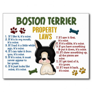 Boston Terrier Funny Gifts