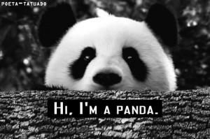 Cute Panda Quotes Include: panda, cute,
