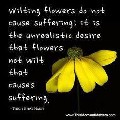 Love this quote from Thich Nhat Hanh - what REALLY causes suffering ...
