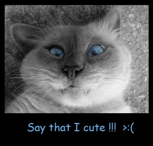 Say that I cute !!!