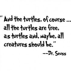 Turtles Quote wall quotes, turtl quot, live, dr seuss, turtle quotes ...