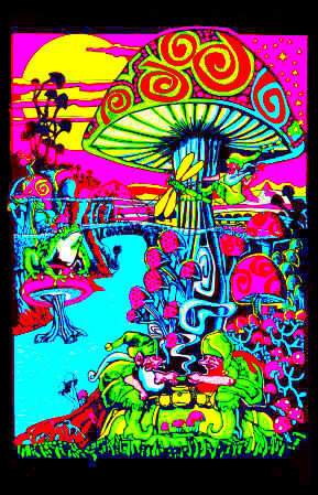 magic mushrooms psy edit Image