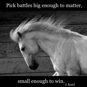 Weekend Wisdom! #quote #horse