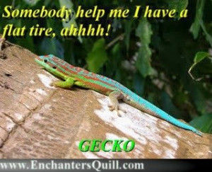 Geico Gecko Memes