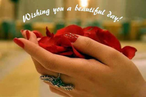 Wishing you a beautiful day !