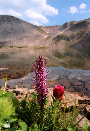 ... of motivational quotes,good quote, famous quotes page generous