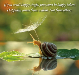 Happy Single Quotes If you aren't happy single,