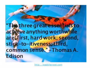 ... second, stick-to-itiveness; third, common sense.” -Thomas A. Edison