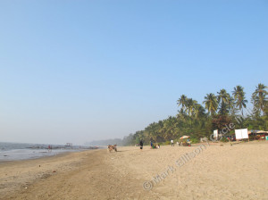 Day 1: Mumbai to Kihim (2-1-12) 118km » 008 Kihim Beach (2-1-12)