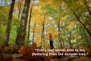 Autumn-Fall-Quotes-Emily-Bronte.jpg