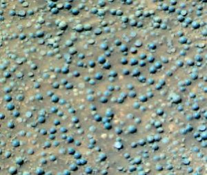 snopes brutus k-9 medal of honor