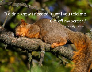 Squirrel Brains Quotes