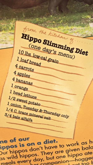 thought it was funny that their hippo was on a diet!