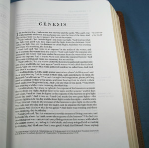The top outer corner of each page shows the page number, book name ...