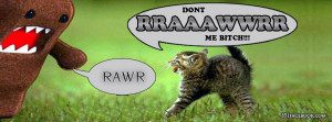 funny rawr quote banner for fb