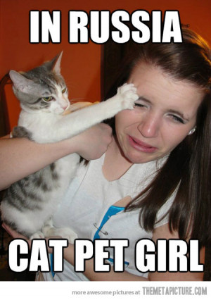 Funny photos funny cat scratching girl face
