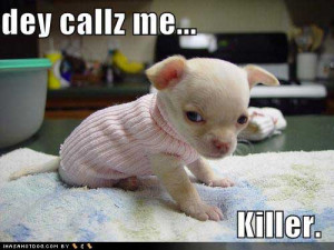 Deathbringer the Adorable