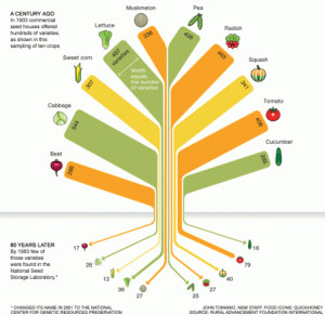 Here’s a neat little diagram showing the changes in vegetable ...