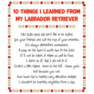 funny_things_i_learned_from_my_labrador_retriever_photosculpture ...