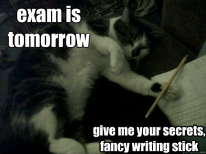 ... is tomorrow give me your secrets fancy writing stick - Revision Kitty