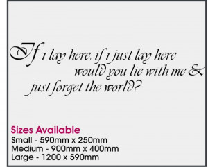 SNOW PATROL IF I JUST LIE HERE QUOTE VINYL WALL STICKER(China ...