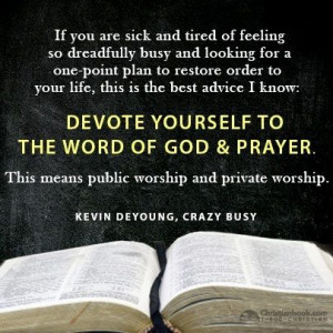 Kevin DeYoung - Crazy Busy: A (Mercifully) Short Book About a (Really ...