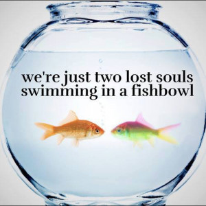 We're just two lost souls swimming in a fishbowl