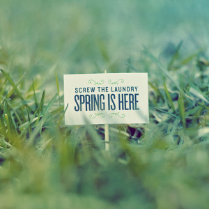 小图片-春天在这里,小图片-春天在这里