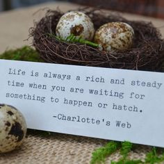 Little Birds Nest Message in a Bottle with Charlotte's Web Quote. $19 ...