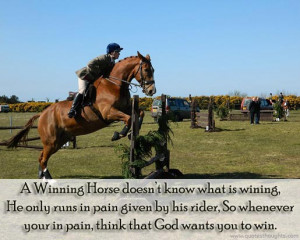 ... horse riding quotes inspirational horse quotes inspirational horse