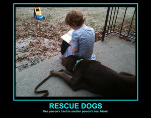 have 4 rescued dogs they are the best dogs to have. (Cats too, I ...