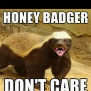 Honey Badger don't care!