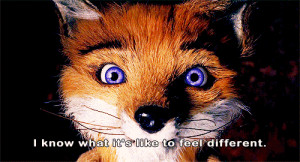 movie wes anderson stop motion fantastic mr fox animated GIF