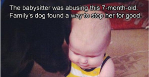 dog-saves-boy-from-abuser.jpg