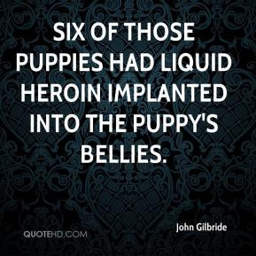 John Gilbride - Six of those puppies had liquid heroin implanted into ...