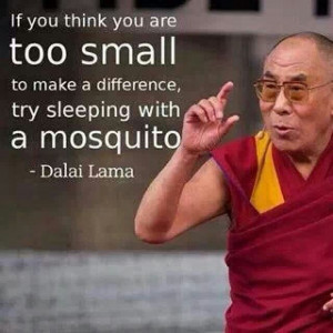 Dalai Lama mosquito quote