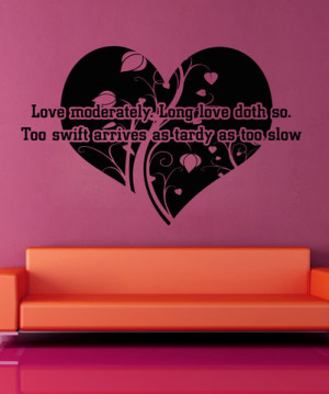 Vinyl Wall Decal Sticker Love Moderately Quote #5378