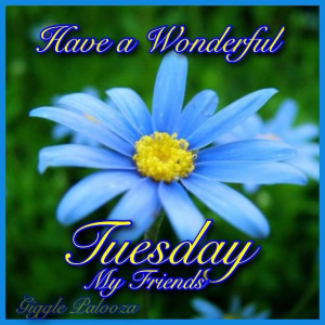 Have a wonderful Tuesday my friends