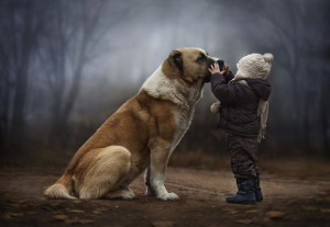... Takes Magical Portraits of Her Two Boys and their Animal Friends