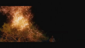 Burning Bush Bible Trailer for the bible