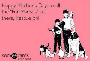 SAAP Would Like To Wish A Happy Mother's Day To All Of The Fur Moms ...