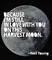 harvest moon neil young