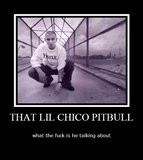 Pitbull Rapper Graphics | Pitbull Rapper Pictures | Pitbull Rapper ...