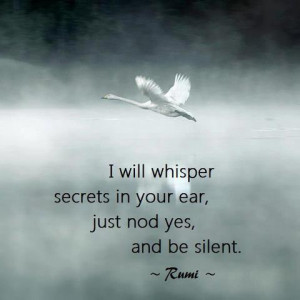 ... the difference between regular silence and noble silence