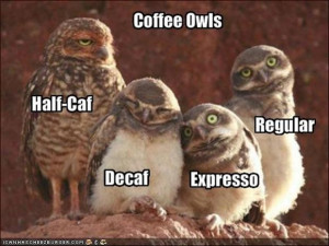 funny coffee, owls