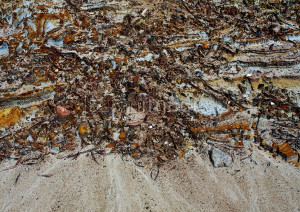 Caption: Detail of surface on mine dump