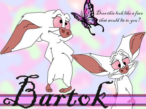 Bartok The Bat Quotes Bartok by deadlyvampirekisses
