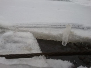 Yuku free message boards